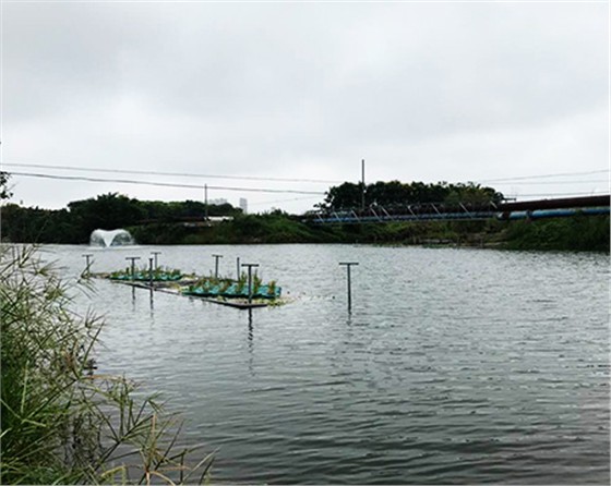 未標(biāo)題-黑偉黑偉沉水式風(fēng)機(jī)使用方便噪音?。? />
</p>
        </div>
        <!--分頁-->
        <div   class=