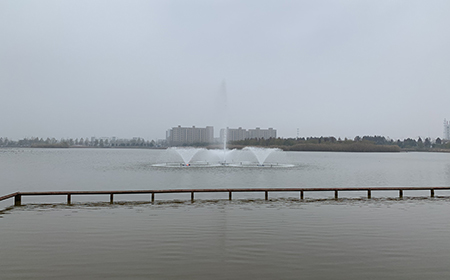 黑偉沉水羅茨風(fēng)機(jī)在曝氣系統(tǒng)中的優(yōu)勢(shì)